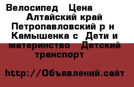 Велосипед › Цена ­ 1 000 - Алтайский край, Петропавловский р-н, Камышенка с. Дети и материнство » Детский транспорт   